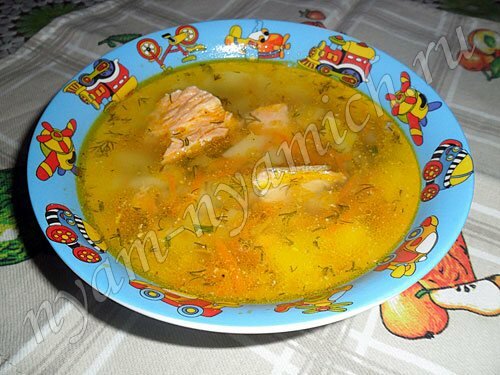 Суп с красной рыбой